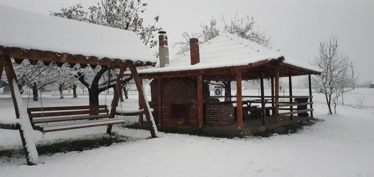 Pensiunea Agroturistica Ica Valea Drăganului Exteriör bild