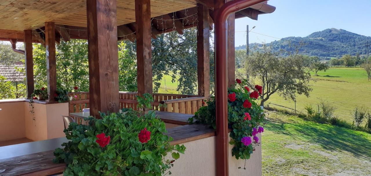 Pensiunea Agroturistica Ica Valea Drăganului Exteriör bild