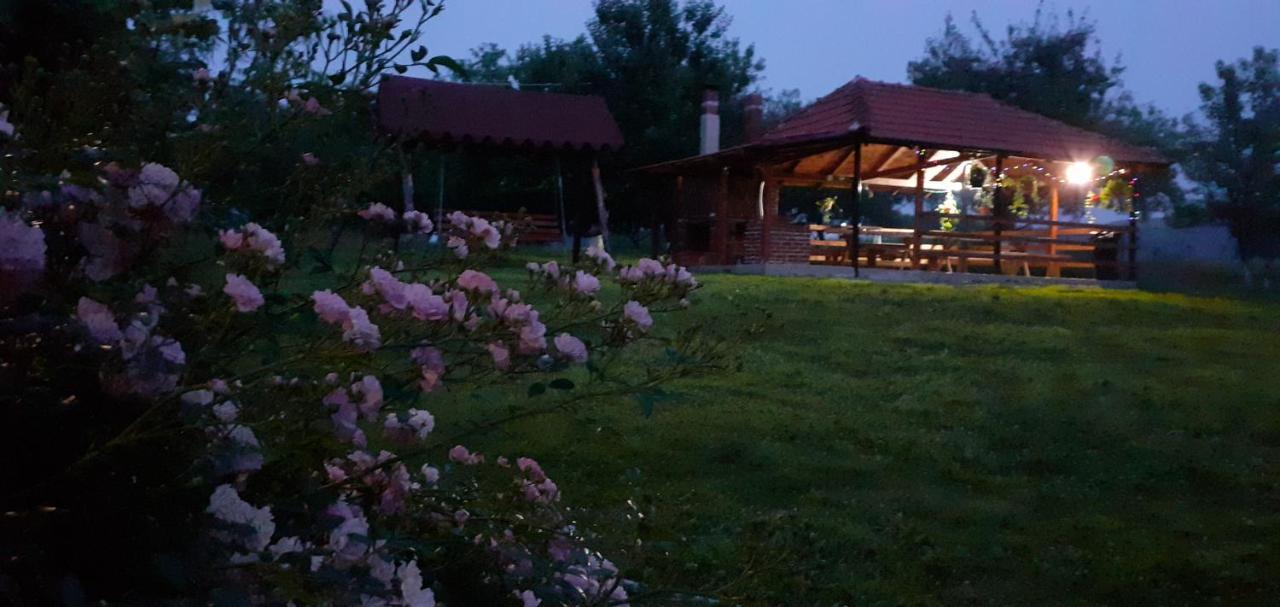 Pensiunea Agroturistica Ica Valea Drăganului Exteriör bild
