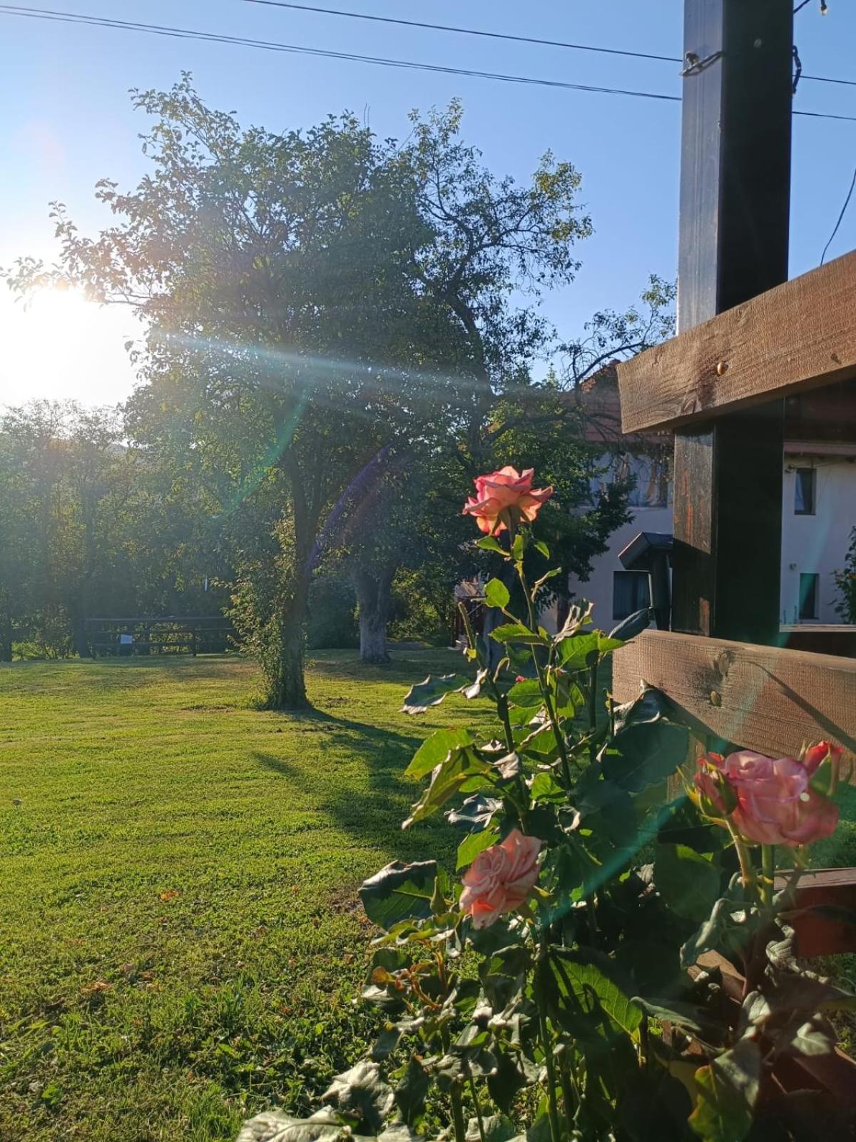 Pensiunea Agroturistica Ica Valea Drăganului Exteriör bild