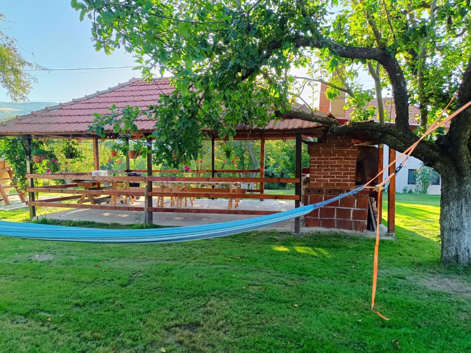Pensiunea Agroturistica Ica Valea Drăganului Exteriör bild