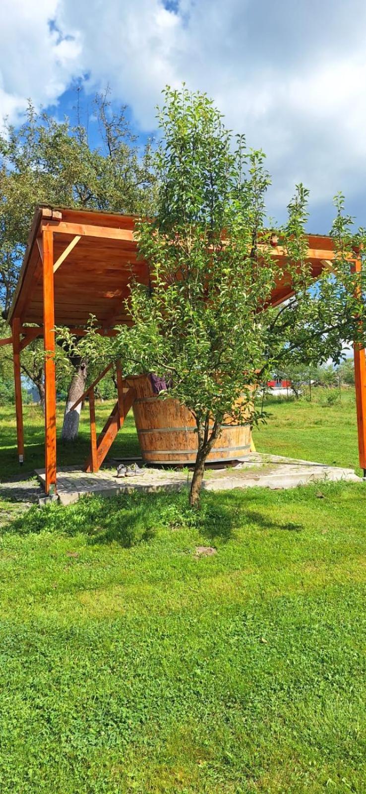 Pensiunea Agroturistica Ica Valea Drăganului Exteriör bild